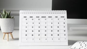 Desk calendar to the right of a potted plant
