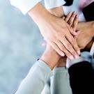 hands gathered together to network